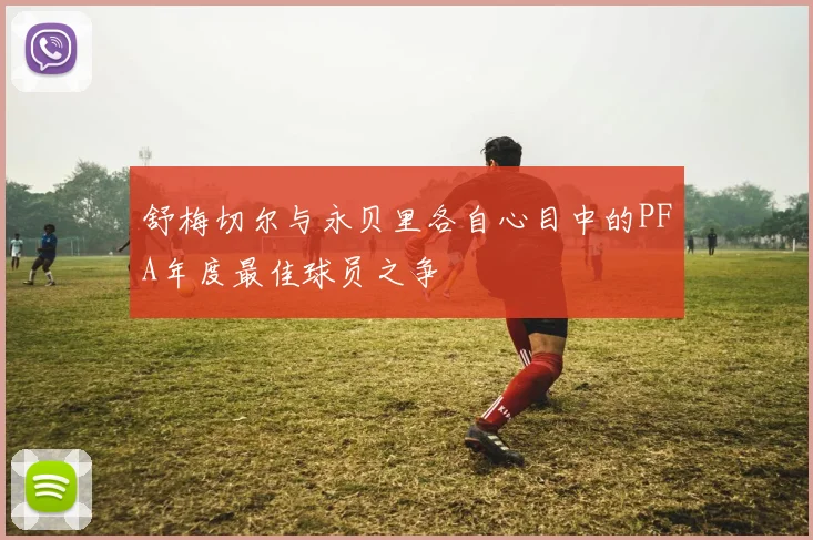 舒梅切尔与永贝里各自心目中的PFA年度最佳球员之争