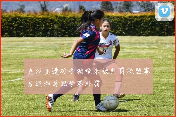 克拉克遭对手锁喉未被判罚联盟赛后追加恶犯禁赛处罚