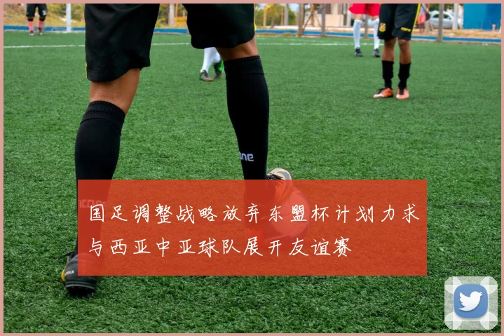 国足调整战略放弃东盟杯计划力求与西亚中亚球队展开友谊赛