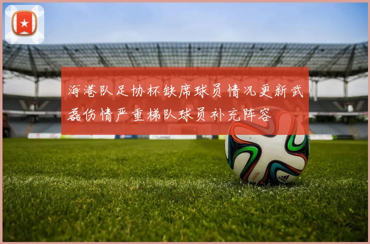 海港队足协杯缺席球员情况更新武磊伤情严重梯队球员补充阵容