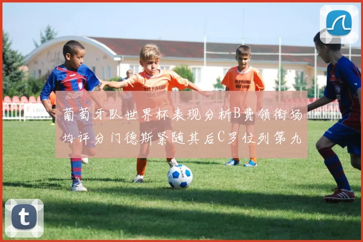葡萄牙队世界杯表现分析B费领衔场均评分门德斯紧随其后C罗位列第九