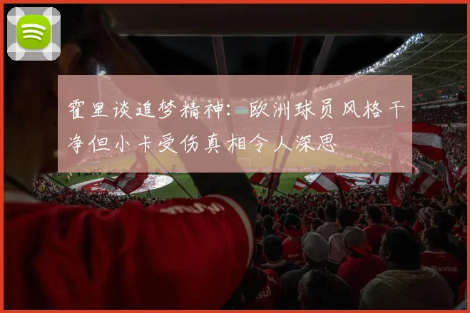 霍里谈追梦精神：欧洲球员风格干净但小卡受伤真相令人深思